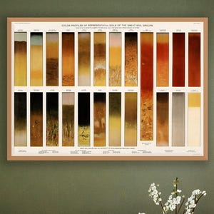 Regalo educativo de geología: Cuadro de perfil de suelo vintage - Decoración de historia agrícola