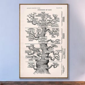 Tree of Life Poster: Ernst Haeckel Evolution Art Print