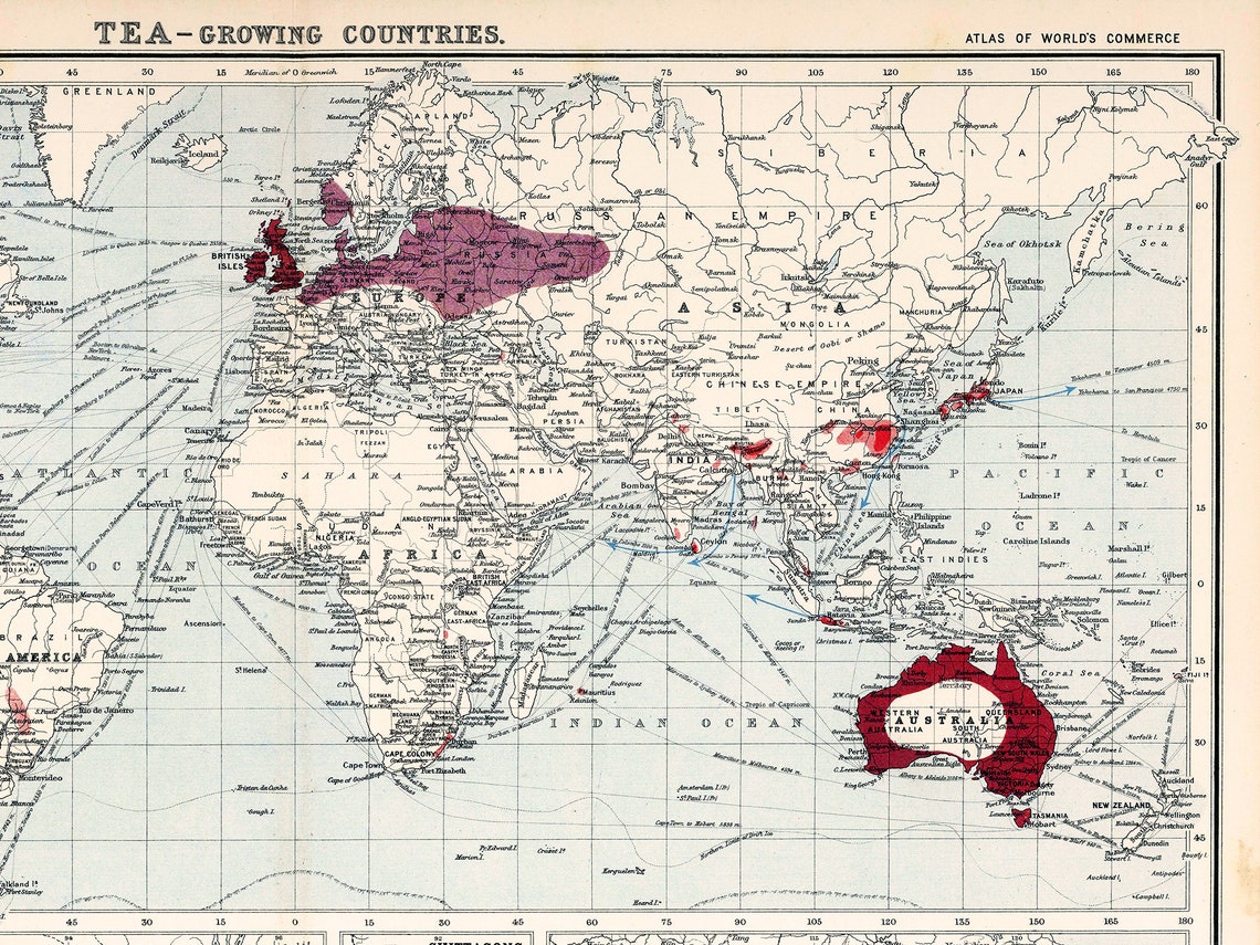 Tea Map of the World Tea Poster Map Tea Gifts Tea Wall Map Etsy UK