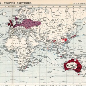 Vintage Tea Map of the World: Antique Style Tea Growing Regions - Etsy