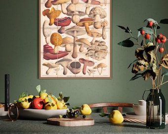 Edible Mushrooms Vintage Poster: Mycology Kitchen Art Print