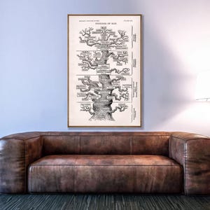 Evolution Art Print, Victorian Science Poster - Evolutionary Biology Wall Decor | Natural Selection Print | Human Evolution Art