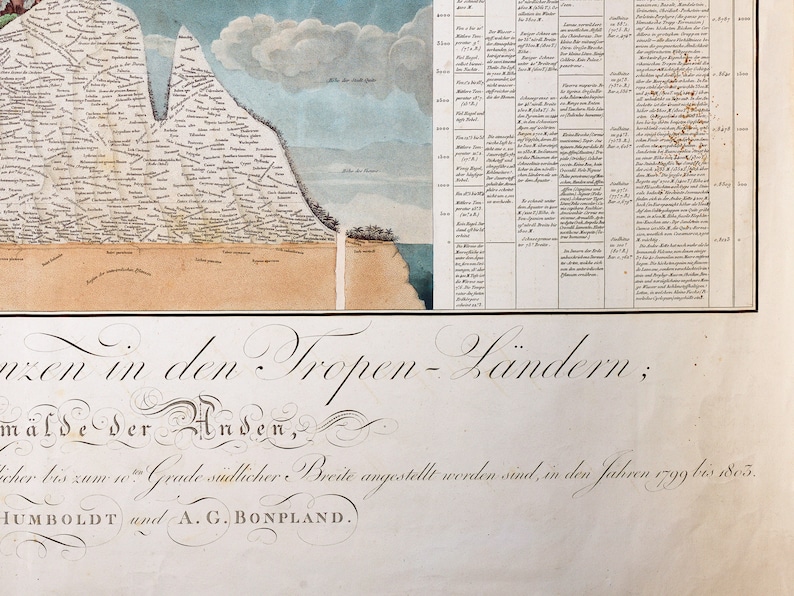 Alexander von Humboldt Physical Table of the Andes and Neighboring Countries, natural phenomena, nature wall art, geographical exploraration image 8