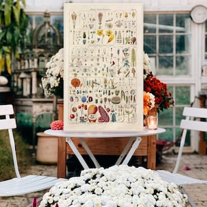 Botanischer Druck, Gartendekor, Wintergarten Dekor, botanische Wissenschaft Druck, Solarium Kunst für drinnen und draussen.