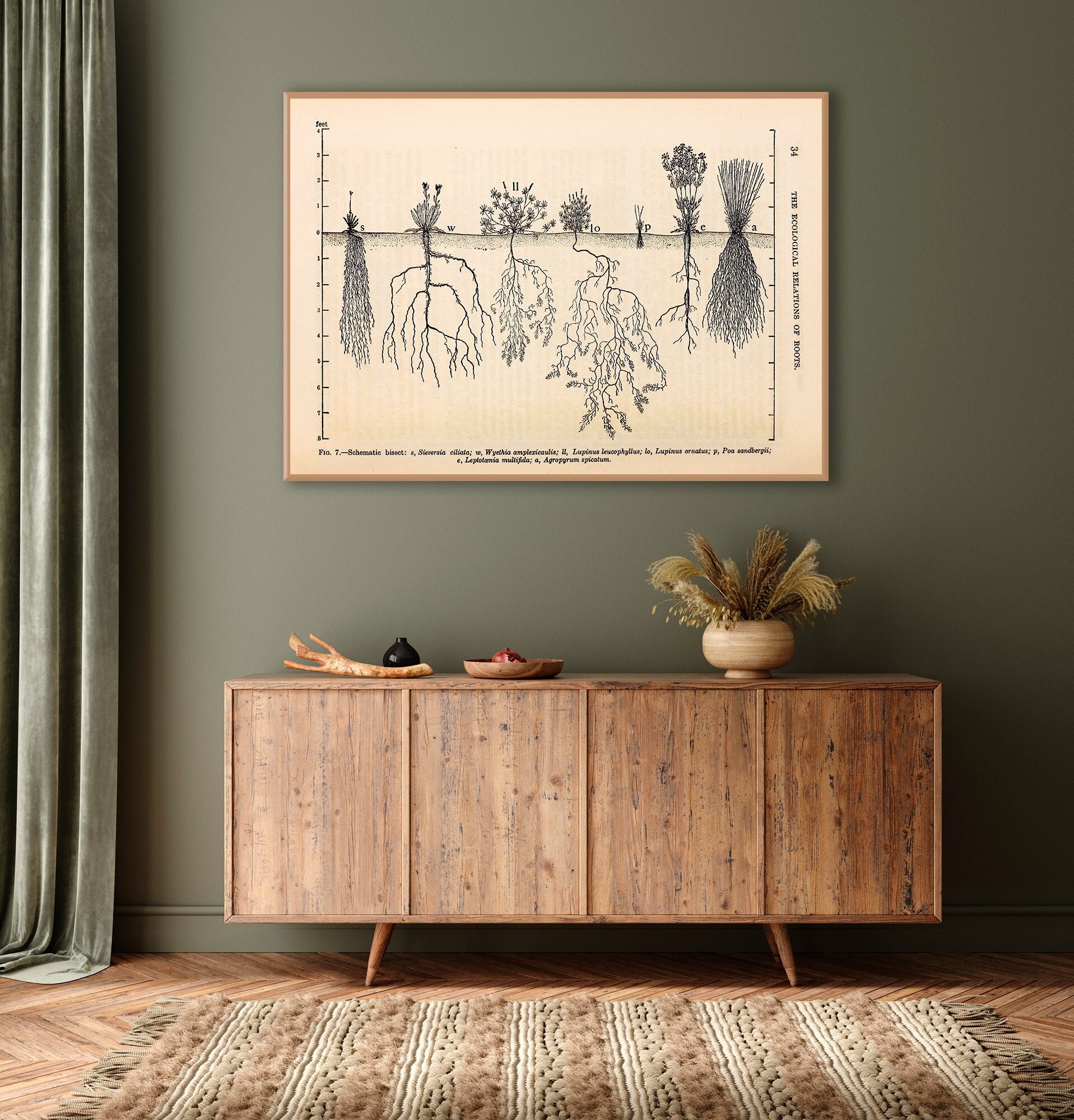 Agriculture Wall Art Agriculture Poster Root System Print Etsy