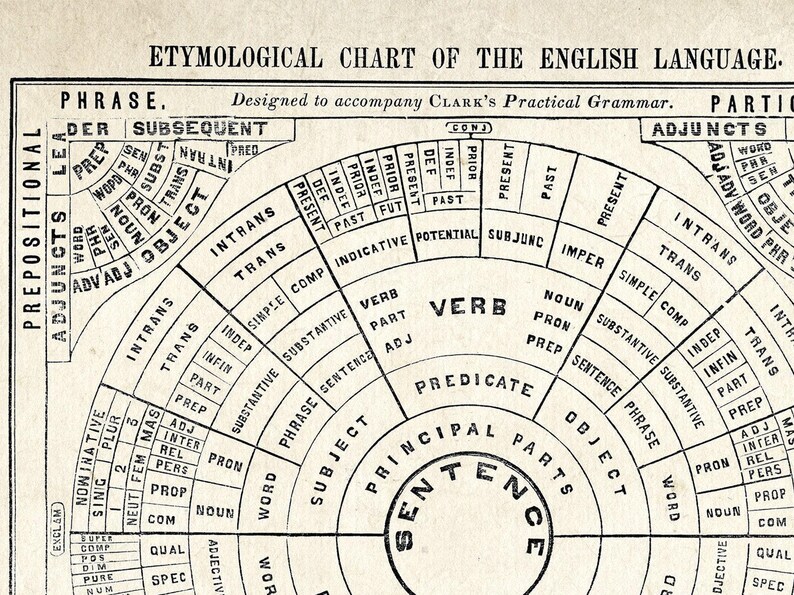 Vintage English Grammar Chart | Etymological Language Diagram Print ...