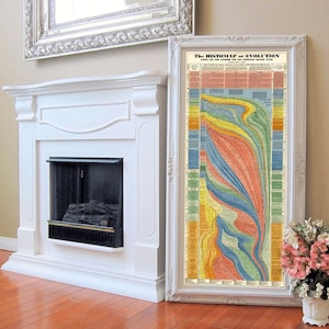 The Histomap of Evolution Print | Vintage Biology Chart | Mid-Century Science Wall Art