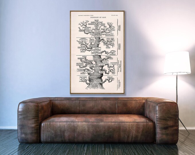 Phylogenetic Tree of Life Poster: Darwinian Evolution Art - Etsy Canada
