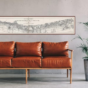 May include: A framed vintage map titled "GRANDS VIGNOBLES DE LA COTE D'OR" in black and white, hangs above a brown leather sofa. A tall potted plant with green leaves stands to the right, against a grey wall.