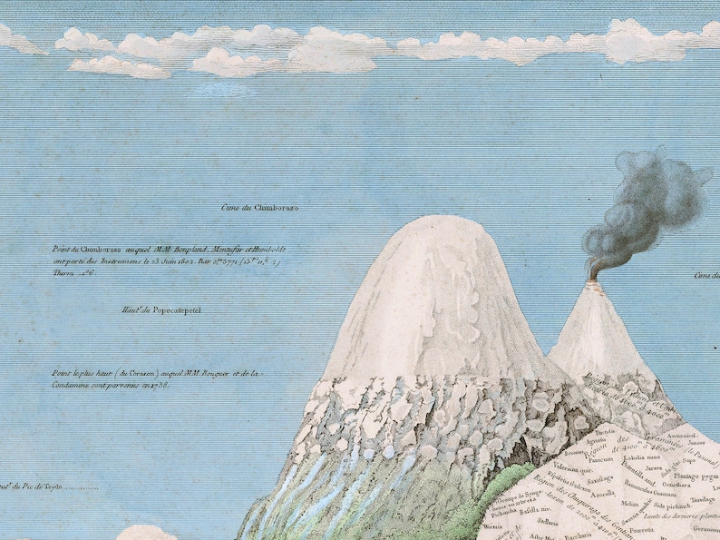 Alexander von Humboldt Physical Table of the Andes and Neighboring Countries, natural phenomena, nature wall art, geographical exploraration image 3