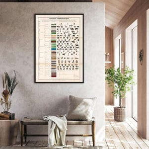 Vintage Geology Chart Print: French Chronological Time Scale