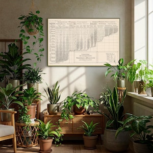 May include: A room filled with various potted plants, including hanging plants, and a framed vintage botanical chart. The plants are in terracotta, gray, and woven pots. The chart has German text.