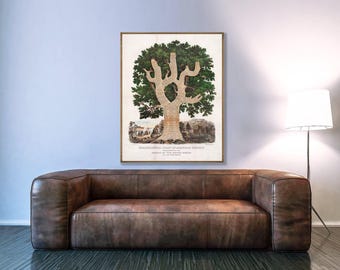 Vintage American History Chart Print: Emma Willard's Tree of Time