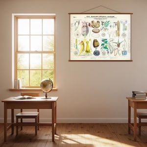 アンティーク植物アートプリント | ヘンスローの1857年指導図 | ヴィンテージ植物イラスト | 科学的な壁装飾