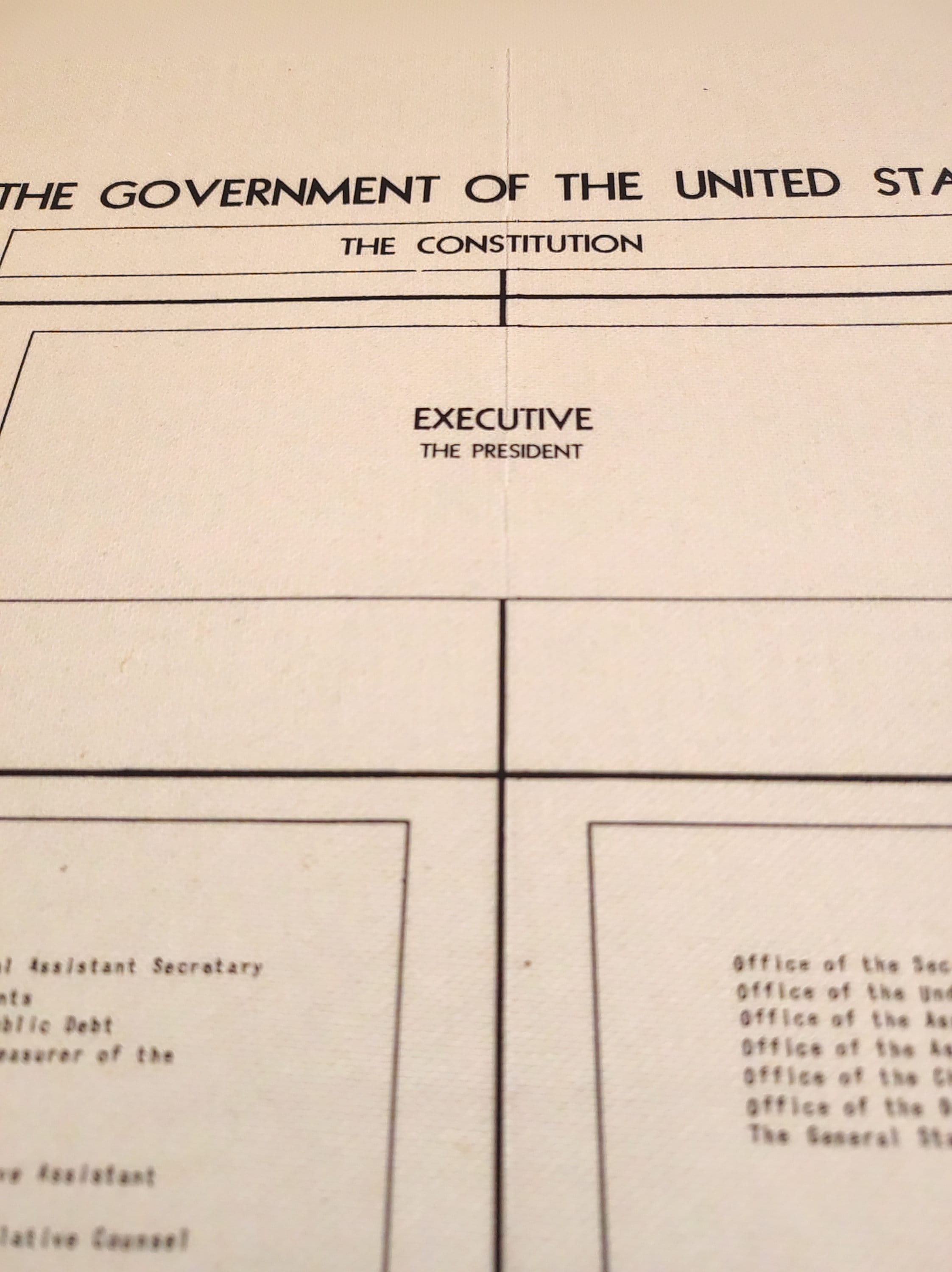 Diagrama De La Estructura Del Gobierno De Estados Unidos