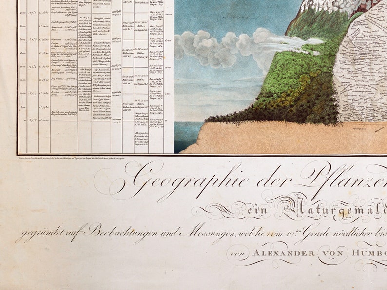 Alexander von Humboldt Physical Table of the Andes and Neighboring Countries, natural phenomena, nature wall art, geographical exploraration image 7
