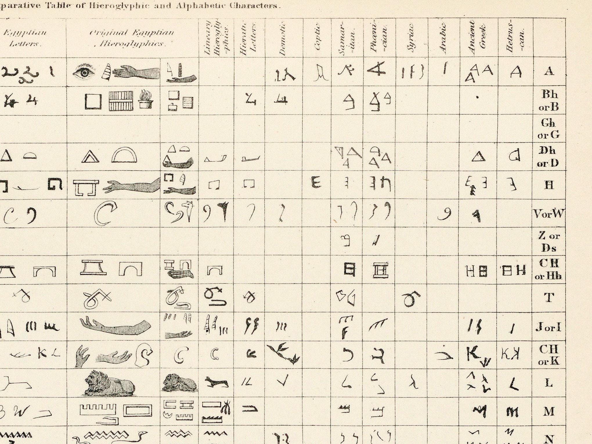 Old Writing Systems Poster - Ancient Alphabets Comparative Table ...