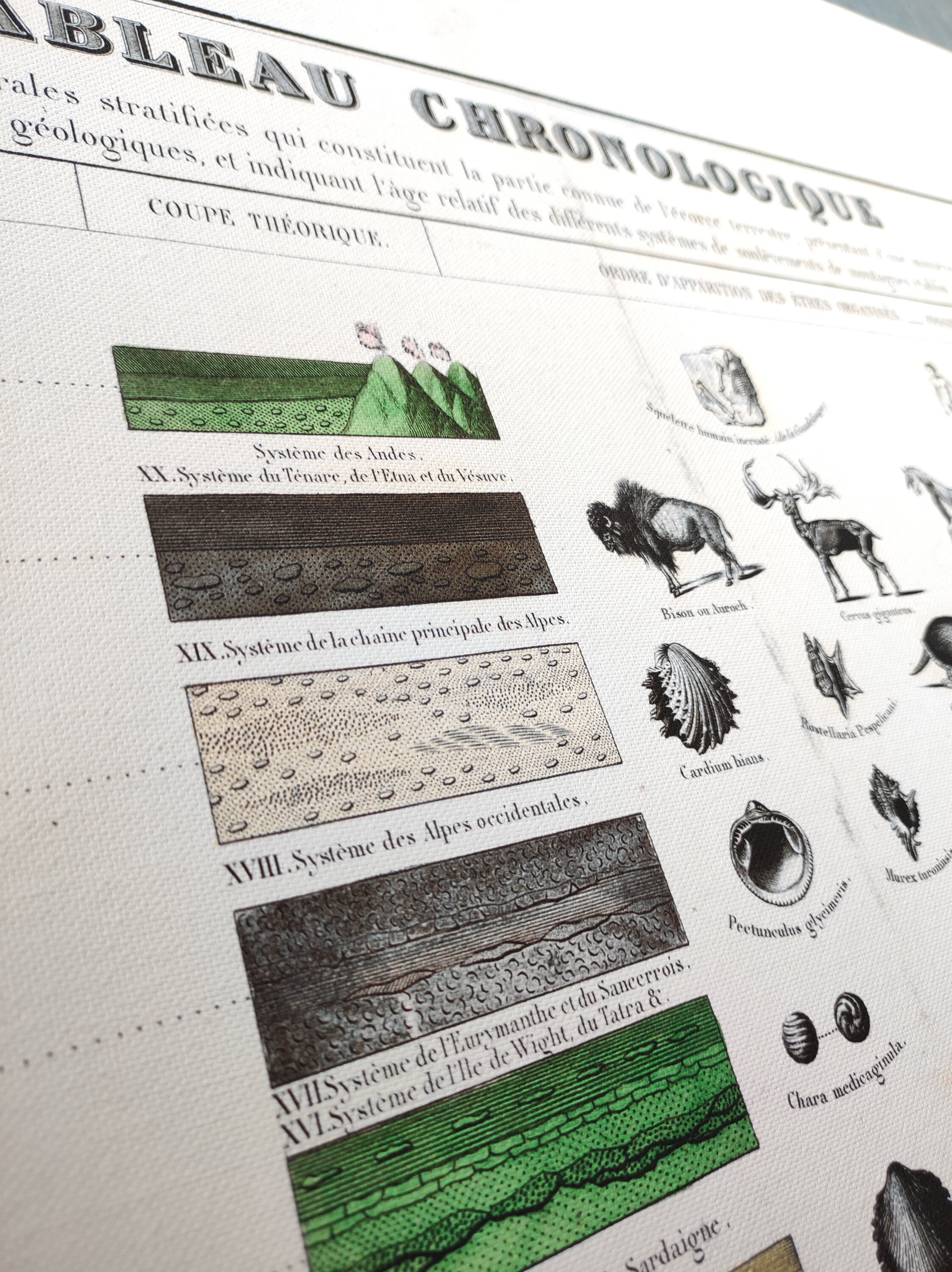 Geology Wall Art Vintage Geology Periods Geology Etsy