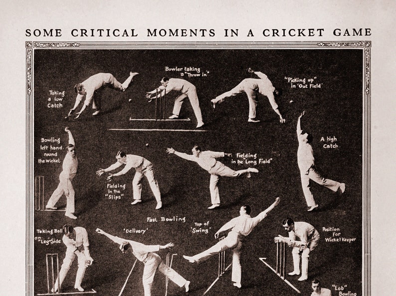 Vintage Cricket Poster Cricket Study Guide Cricket Etsy