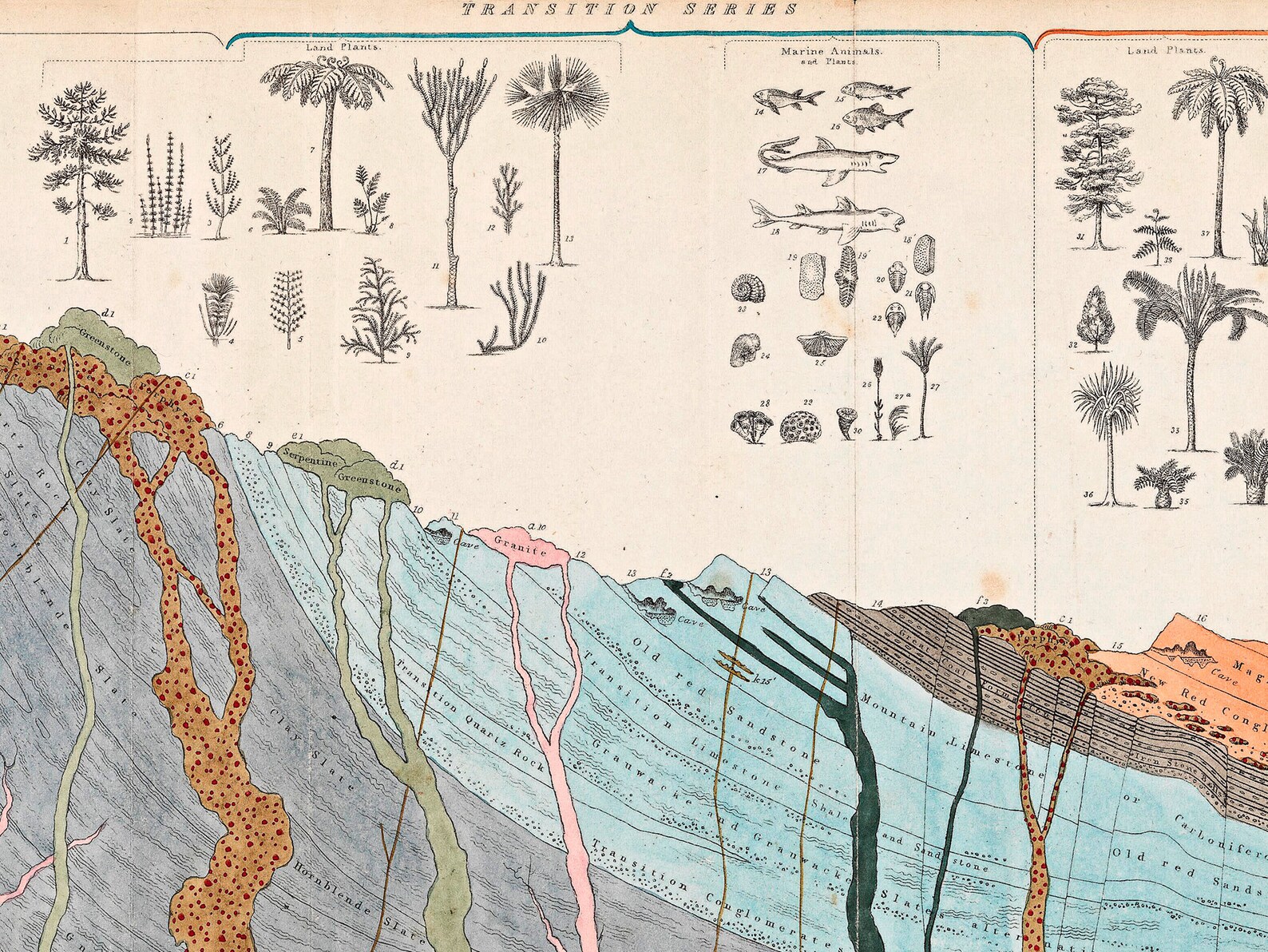 Geology Art Vintage Geology Poster Wall Decor Geology Chart Etsy