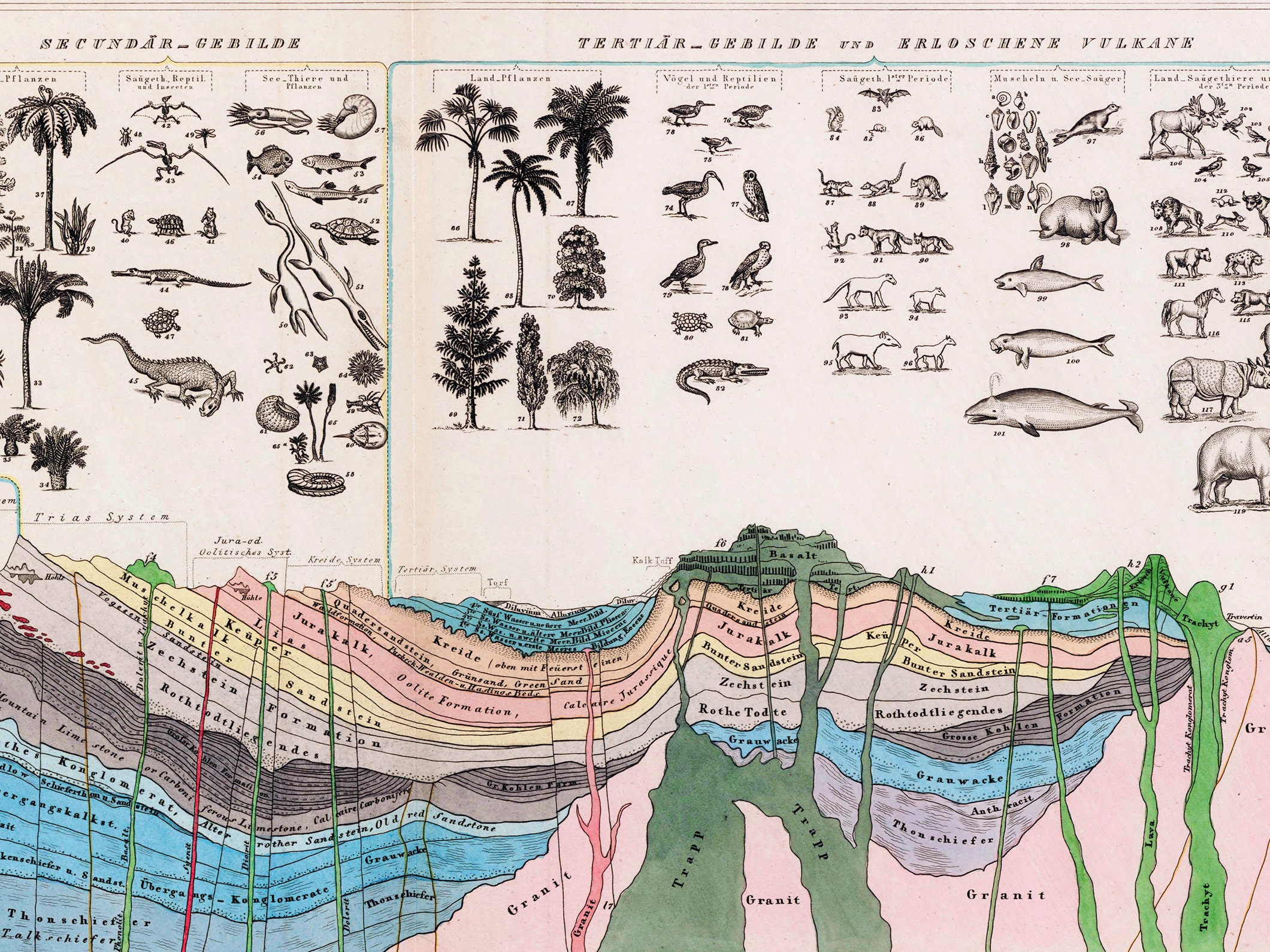 Geology Wall Art Vintage Geology Print Geological Chart Etsy