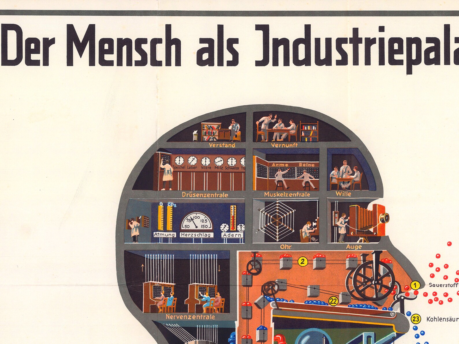 Vintage Poster the Body as a Machine Iconic Infographic of - Etsy