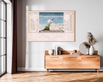 Humboldts fysieke tafel van de Andes-afdruk: geografische verkenningskunst uit 1805