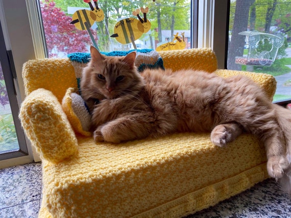 Cat couch