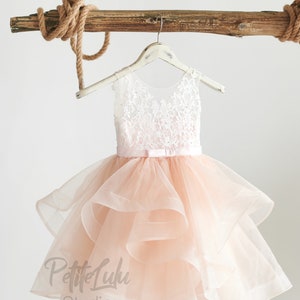 Flower Girl Dress, Blush Pink, Beaded Lace, Satin, Tulle, Organza, Princess, Knee-length, Girl Ball Gown Dress, (D016-A)