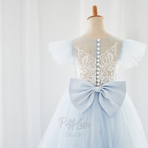 Flower Girl Dress, Birthday Dress,  Ice Blue, Mid-Calf Length, Tull, Lace, Cinderella, Princess (D025)
