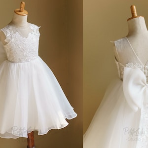 Flower Girl Dress, Wedding, Ivory, Organza, Knee-length, Beaded, Detachable Bow (D031)