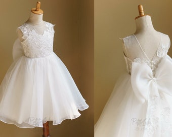 Flower Girl Dress, Wedding, Ivory, Organza, Knee-length, Beaded, Detachable Bow (D031)