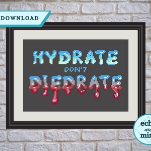 Hydrate Don&#39;t Diedrate Cross Stitch Pattern Motivational Horror