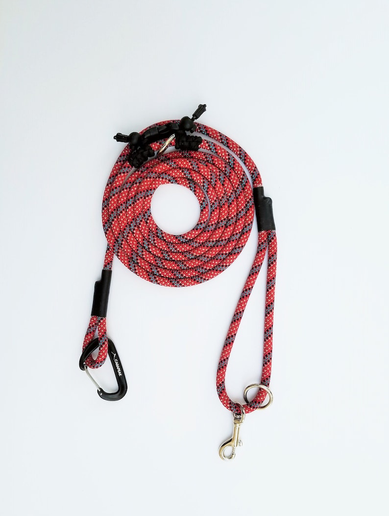 10 Ft Multifunction Leash With Harness hands Free, Double Leash, Slip