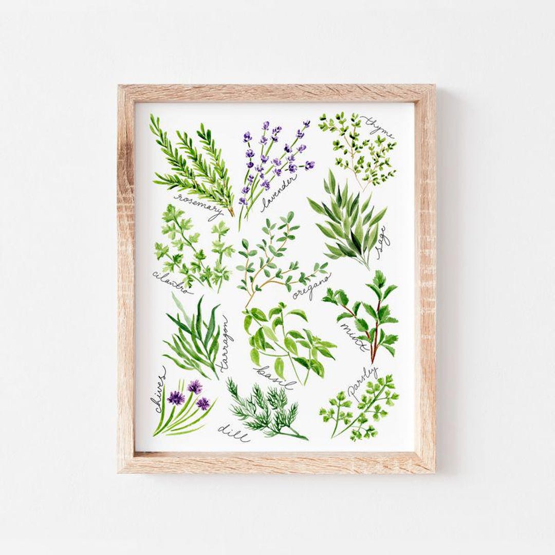 Watercolor Kitchen Herbs Art Print: Botanical Wall Decor - Etsy