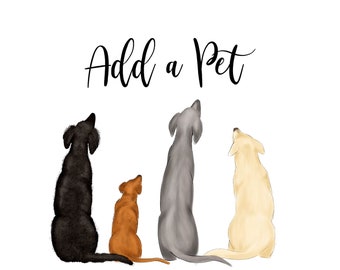 ADD ON: PET