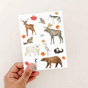Canada Hé ! Carte, Carte d'animaux du Canada, Carte de grizzli, Vierge à l'intérieur