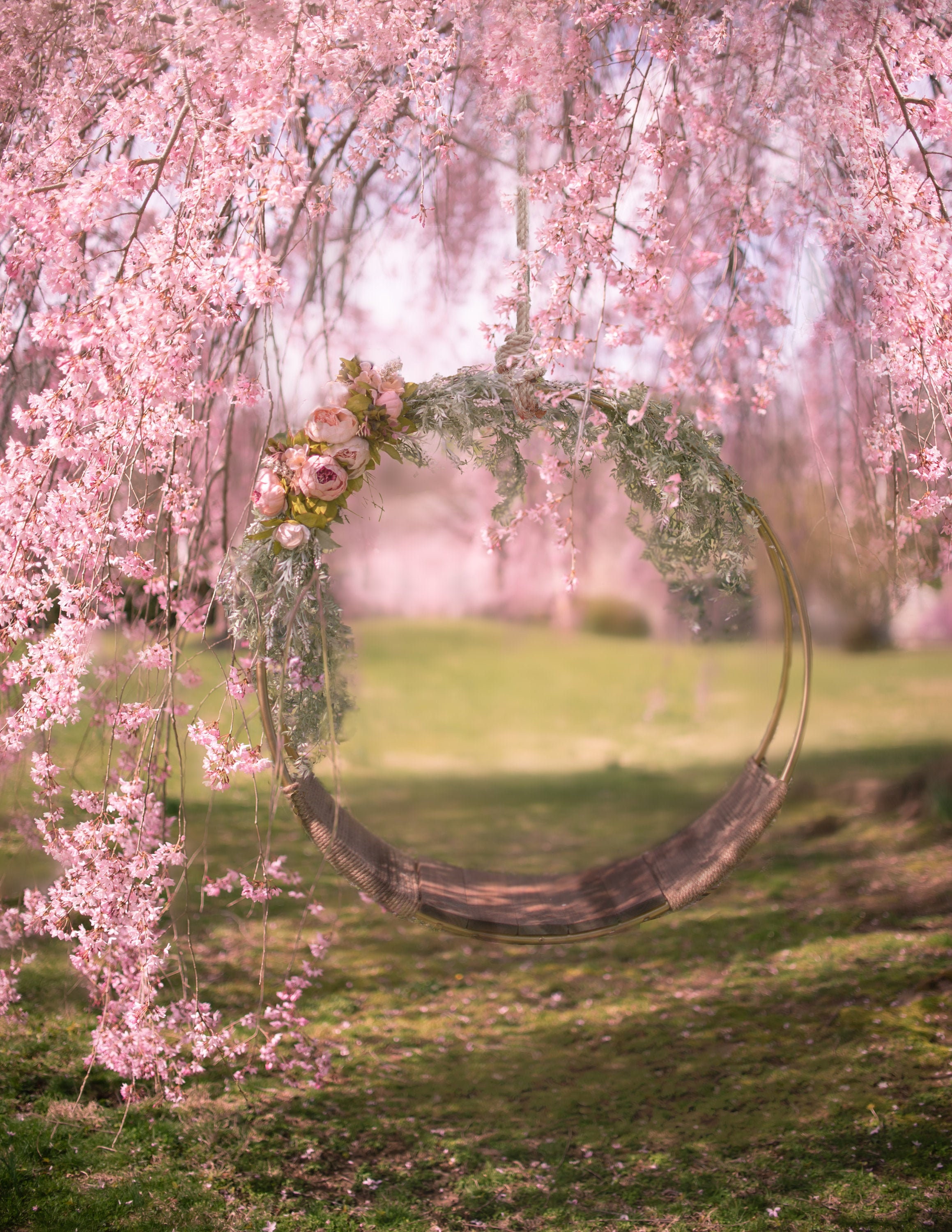 Cherry Blossom Swing Fondo Digital - Etsy México