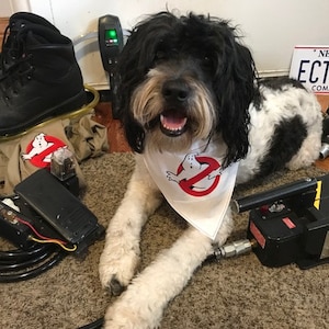 Ghostbusters and Ghostbusters 2 Pet Bandana