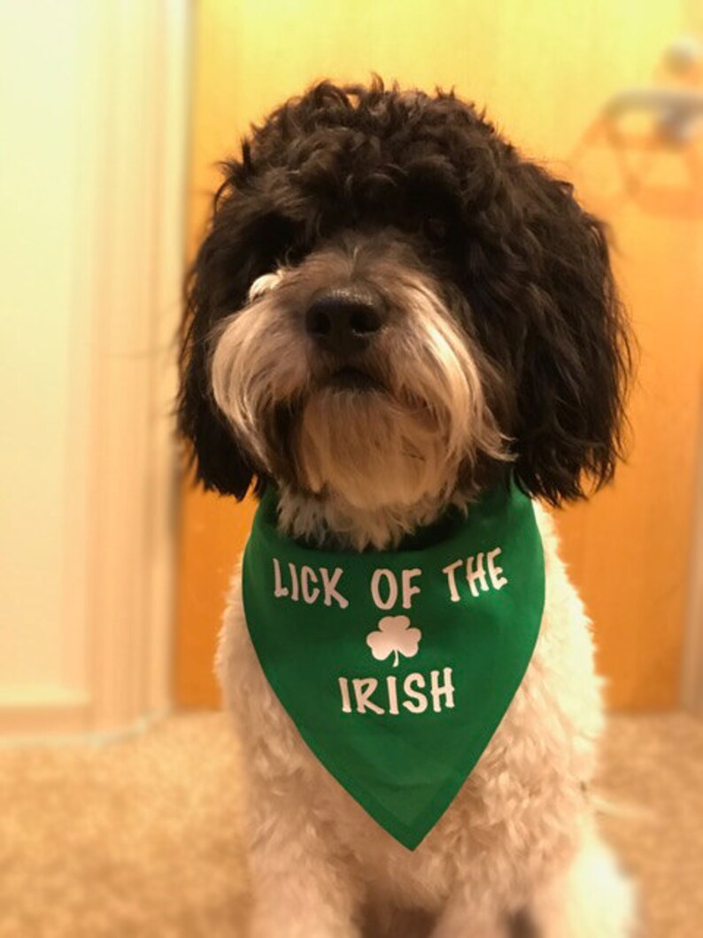 Download Lick of the Irish St. Patrick's Day Dog Bandana | Etsy