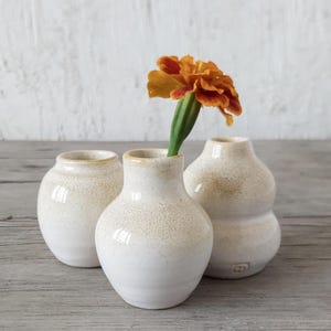 Può includere: Tre piccoli vasi in ceramica bianca con finitura maculata e strutturata. Un vaso contiene un vibrante fiore arancione con uno stelo verde. I vasi sono disposti su una superficie di legno chiaro, creando un'estetica minimalista.