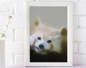 Red Panda Print - cute animal prints 11x14, baby shower gift, baby boy neutral animal art 8x10, giclee print brown grey gray - "Sweet Smile"