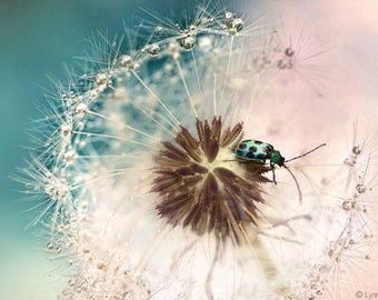 Dandelion Nursery Art - blue pink dandelion print bug 8x10 photo gender neutral decor 16x20 dandelions 11x14 print 5x7 - "Bug Ferris Wheel"