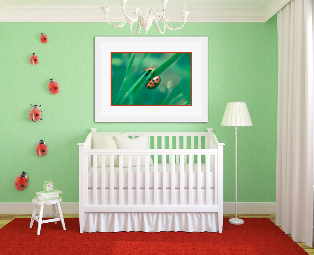 Ladybug Pictures - Two Ladybugs Red Unisex Nursery Wall Art 8x10 Prints ...