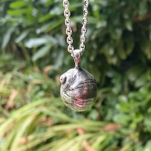 Large Moonsnail pendant