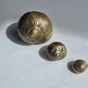 May include: Three metallic, spiral-shaped sculptures resembling seashells. The sculptures vary in size, with the largest at the top and the smallest at the bottom. The objects are a muted gold color and sit on a white surface.