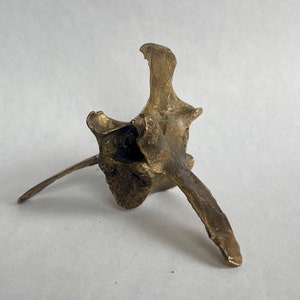 Ocean Vertebrae Statue