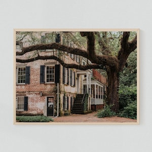Savannah, Georgia | Historic Downtown Savannah | Barnard Street | Southern Oak Tree | Landscape Photo Prints