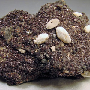 May include: A close-up of a dark brown rock with small, shiny crystals and white, oval-shaped stones embedded in it.