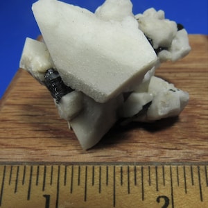 May include: A cluster of white crystals with black accents, measuring approximately 1 inch in length, displayed on a wooden surface with a ruler for scale.